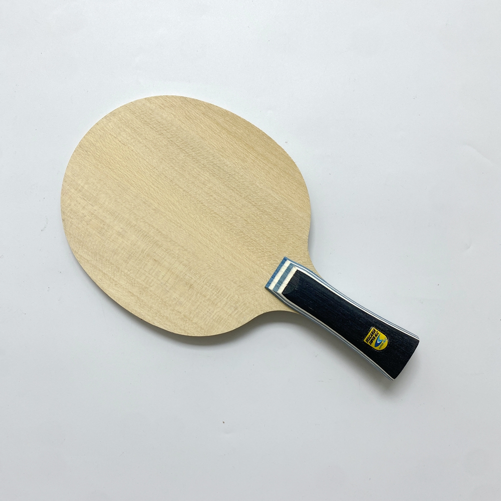 Lemuria VIS Carbon Fiber Table - Table Tennis Zlc のレビューと価格