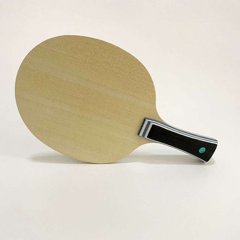 Lemuria VIS Carbon Fiber Table - Table Tennis Zlc のレビューと価格