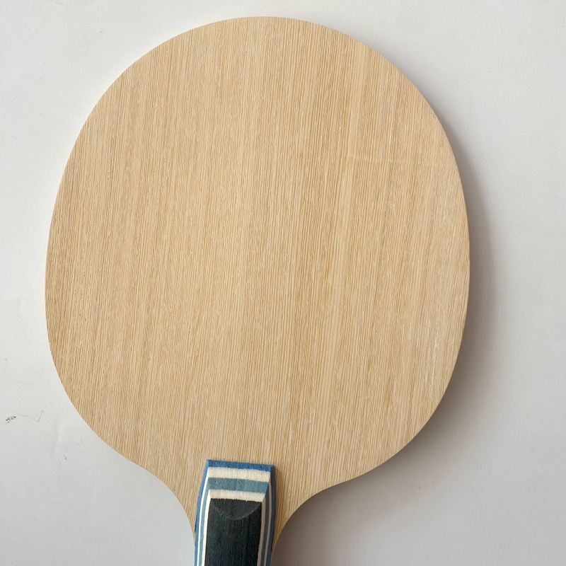 Lemuria VIS Carbon Fiber Table - Table Tennis Zlc のレビューと価格