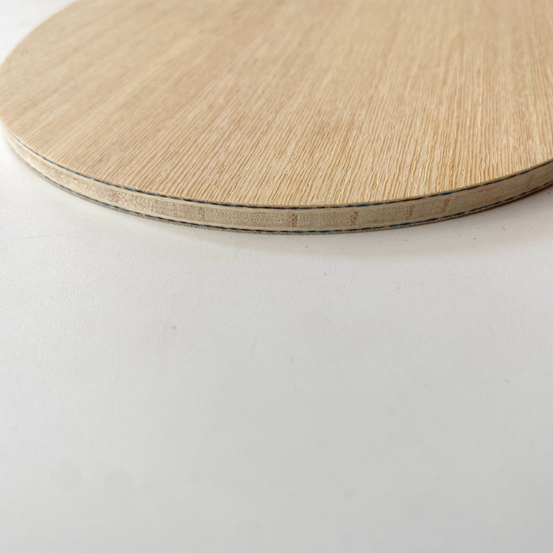 Lemuria VIS Carbon Fiber Table - Table Tennis Zlc のレビューと価格