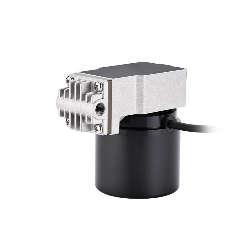 Swinging piston pump 24V boost - Rubber Booster Speed のレビューと価格