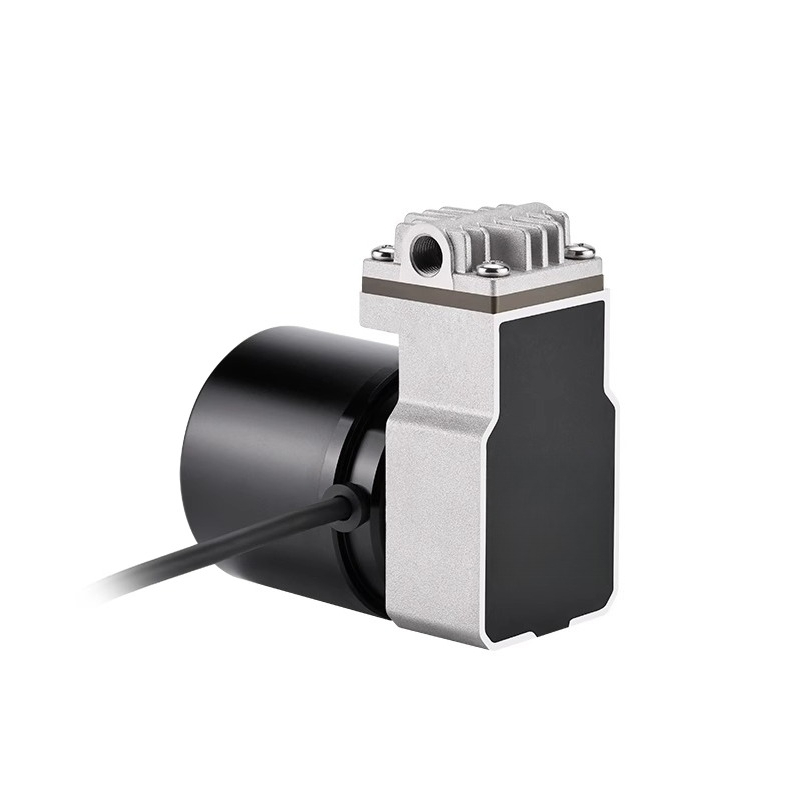 Swinging piston pump 24V boost - Rubber Booster Speed のレビューと価格