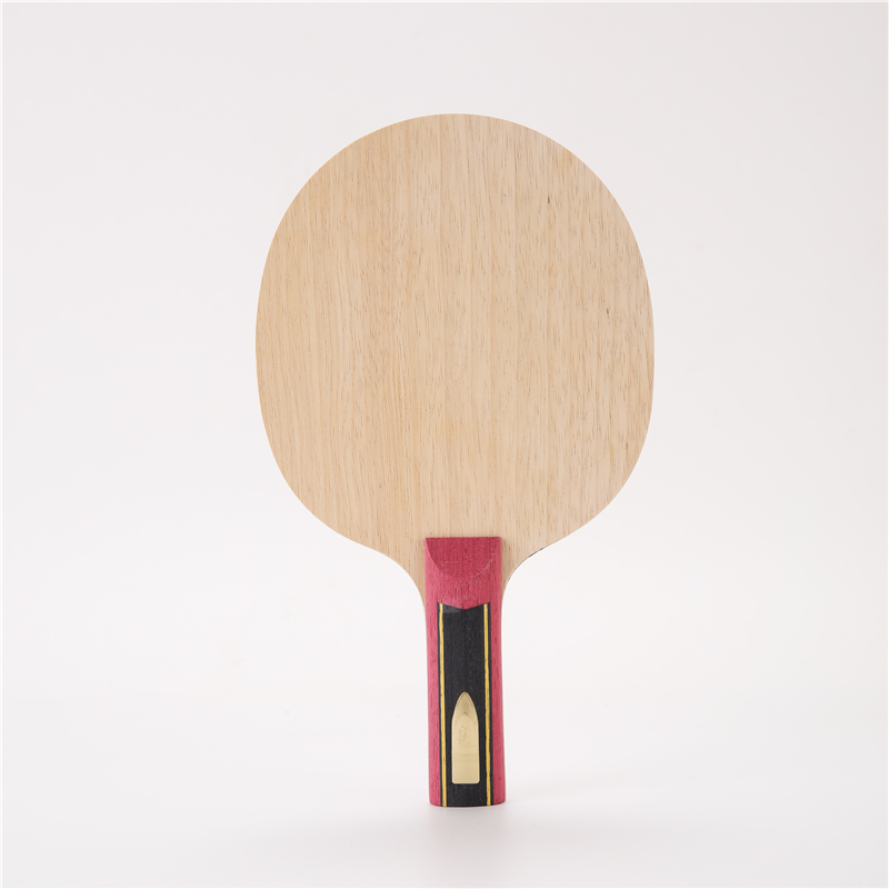 Stuor 5 Layers Wood With 2 Lay - Stiga Carbon Blade のレビューと価格