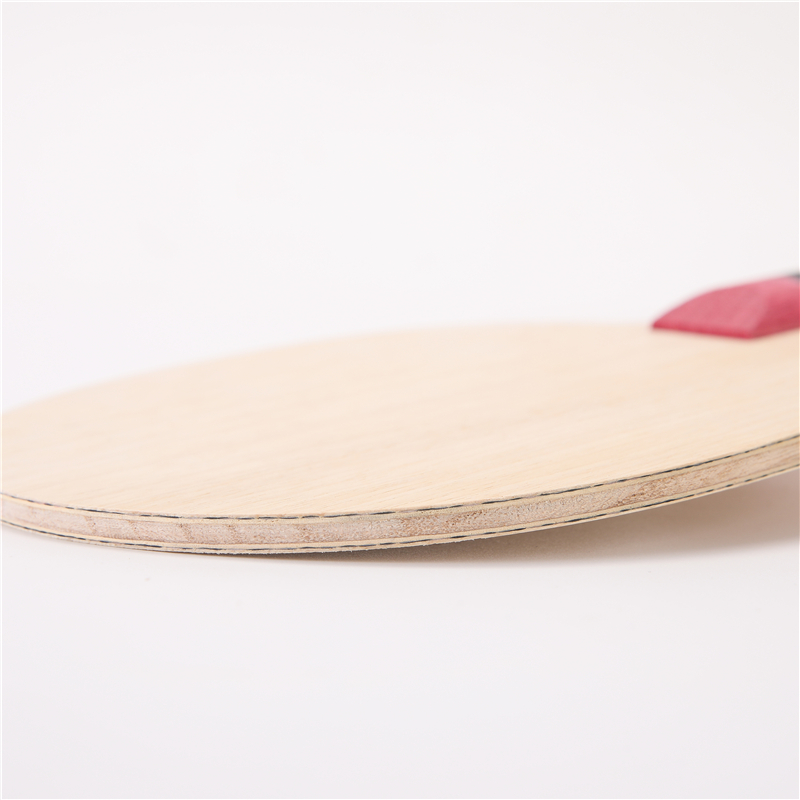 Stuor 5 Layers Wood With 2 Lay - Stiga Carbon Blade のレビューと価格